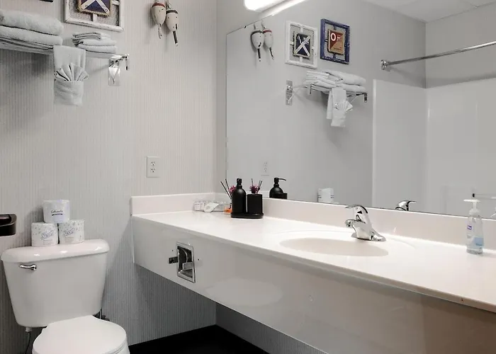 Duluth Dog Friendly Lodging and Hotels