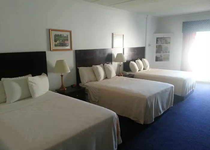 Lewes Dog Friendly Hotels