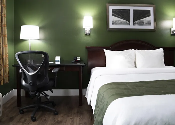Hemet Dog Friendly Lodging and Hotels