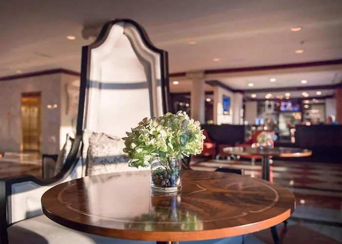 Chapel Hill Dog Friendly Hotels