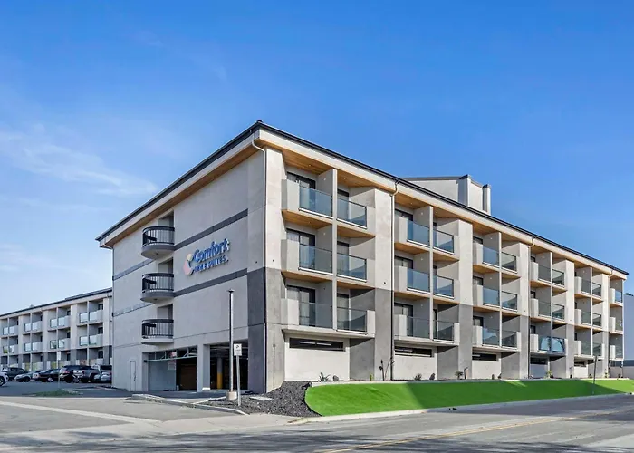 Lake Forest Dog Friendly Hotels
