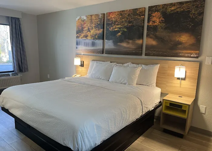 Helen Dog Friendly Hotels