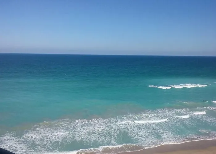 Jensen Beach Dog Friendly Lodging and Hotels