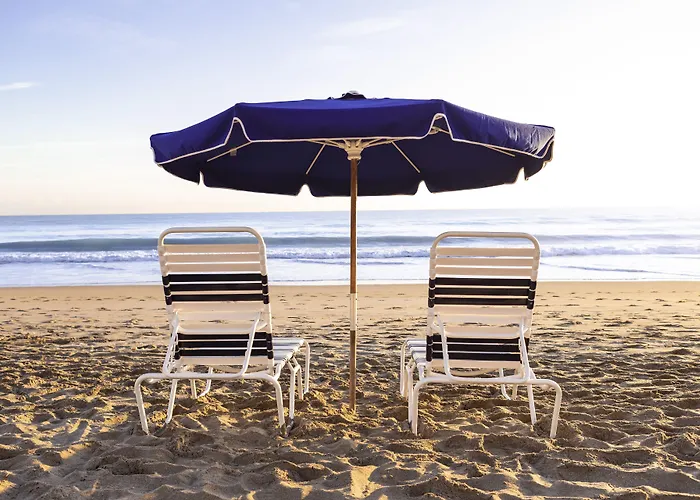 Jensen Beach Dog Friendly Hotels