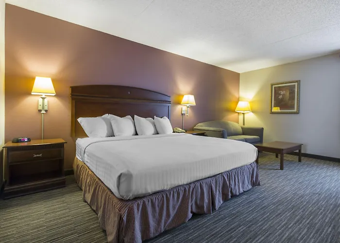 Stockton Dog Friendly Hotels