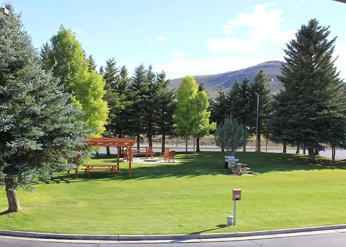 Creede Dog Friendly Hotels