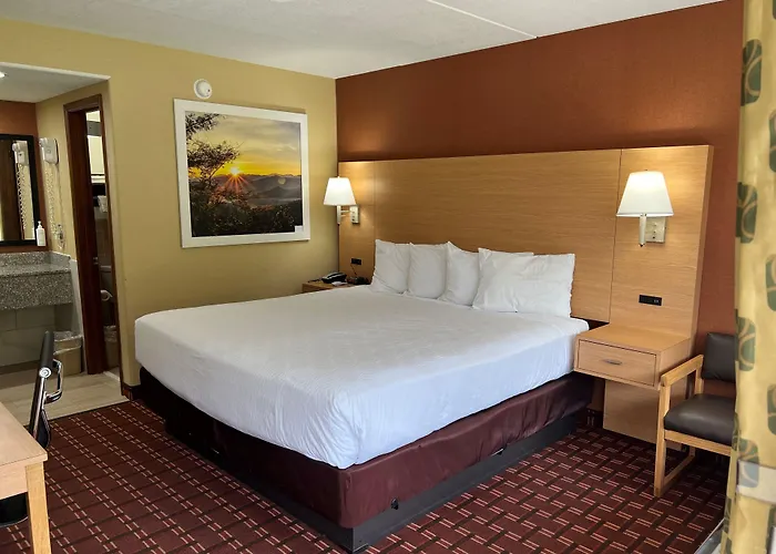 Sweetwater Dog Friendly Hotels