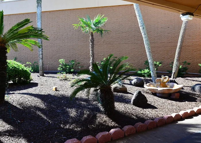 Gulf Breeze Dog Friendly Lodging and Hotels