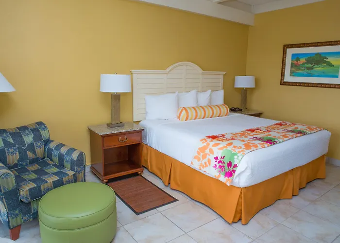 Dunedin Dog Friendly Lodging and Hotels