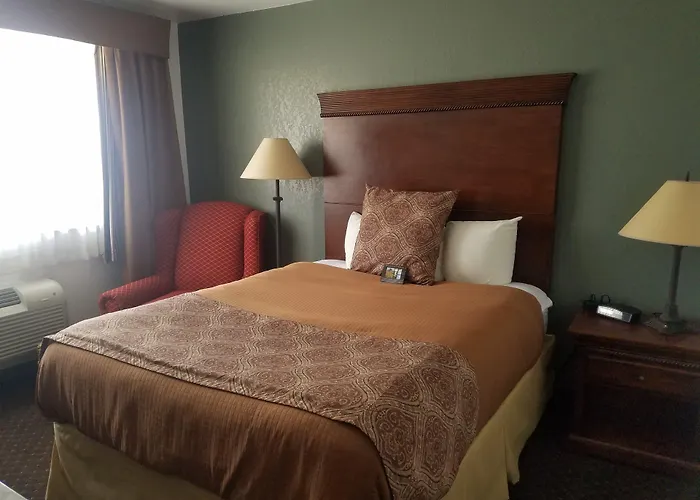 Helena Dog Friendly Hotels