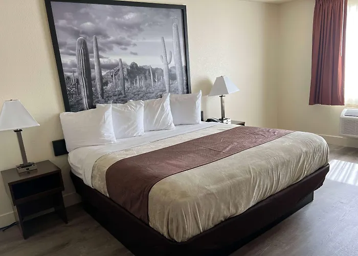 Yuma Dog Friendly Lodging and Hotels