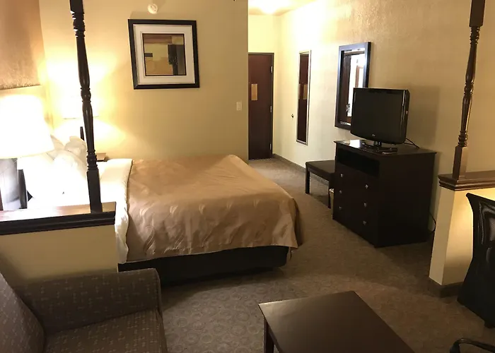 Terrell Dog Friendly Hotels