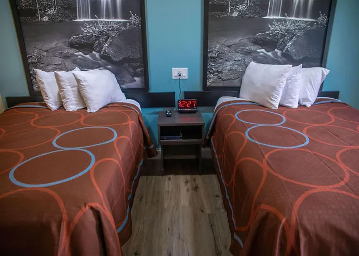 Mountain Home Dog Friendly Lodging and Hotels
