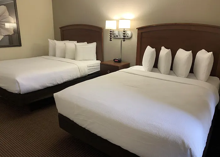 Presque Isle Dog Friendly Hotels