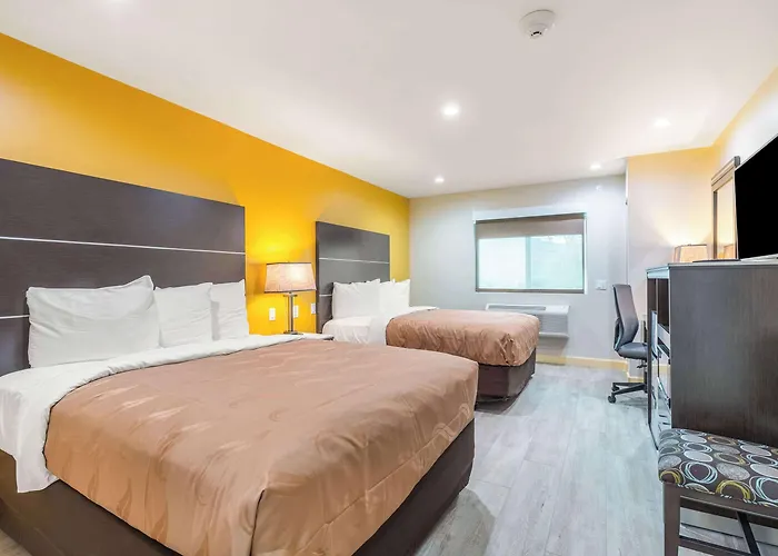 Banning Dog Friendly Lodging and Hotels