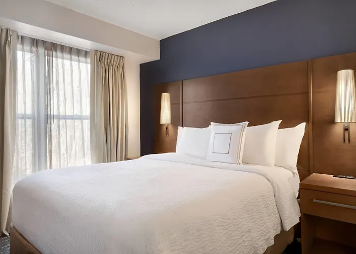 West Springfield Dog Friendly Hotels