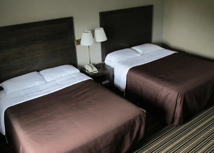 Marshfield Dog Friendly Hotels