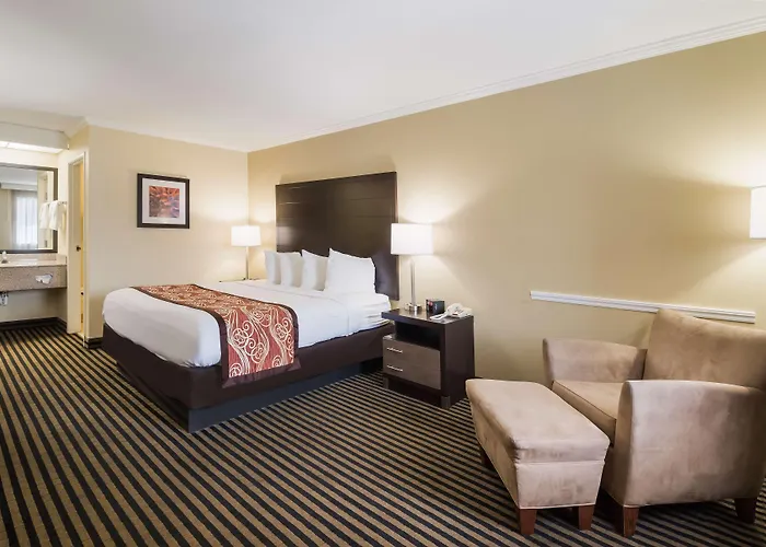 McKenzie Motels