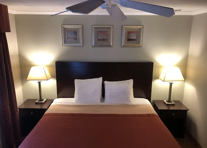 Coos Bay Dog Friendly Lodging and Hotels