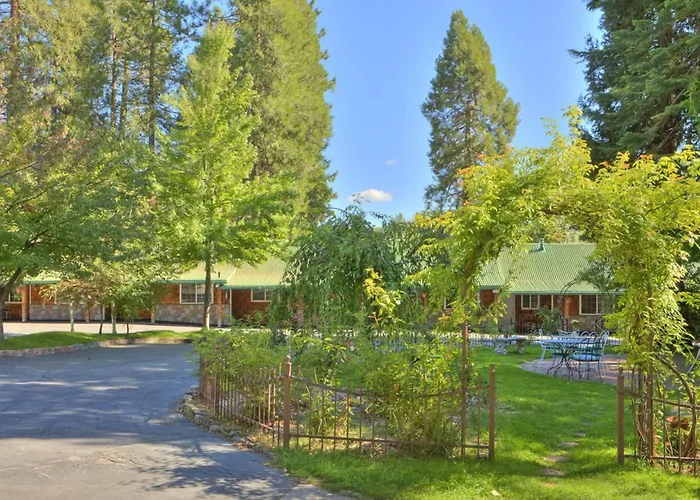 Mount Shasta Dog Friendly Lodging and Hotels