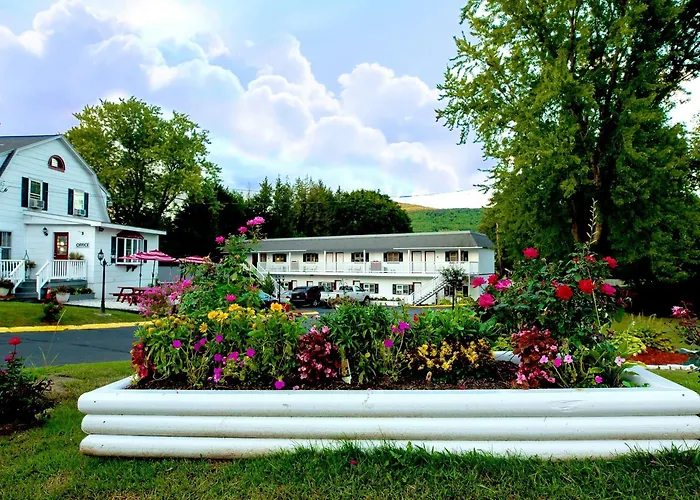 Orange Motels