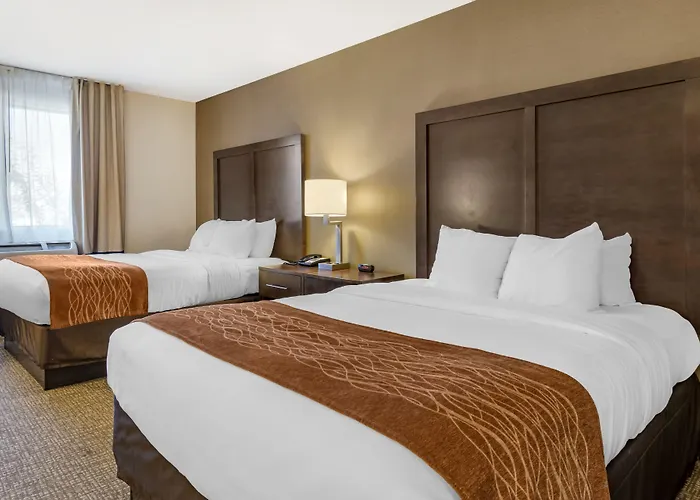Williamsport Dog Friendly Lodging and Hotels