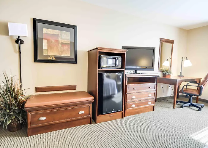 Pinedale Dog Friendly Hotels