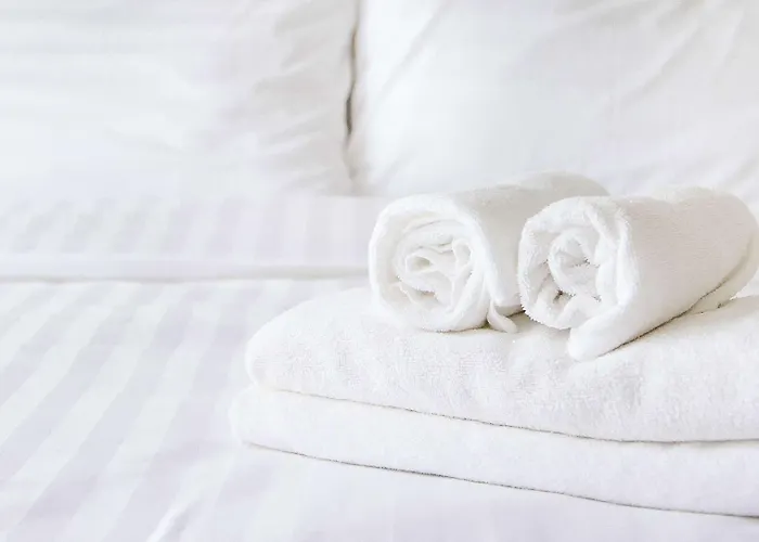 Ionia Motels