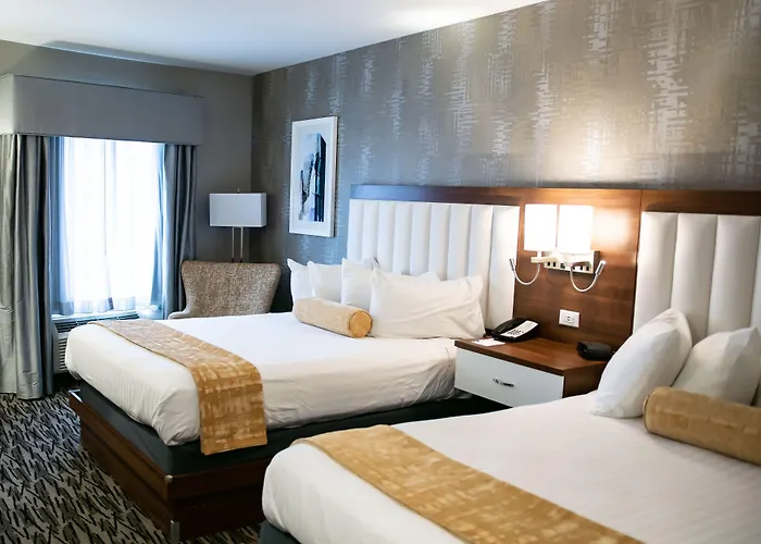 Buffalo Dog Friendly Lodging and Hotels