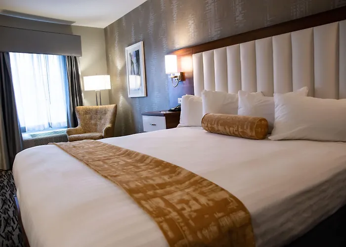 Buffalo Dog Friendly Hotels