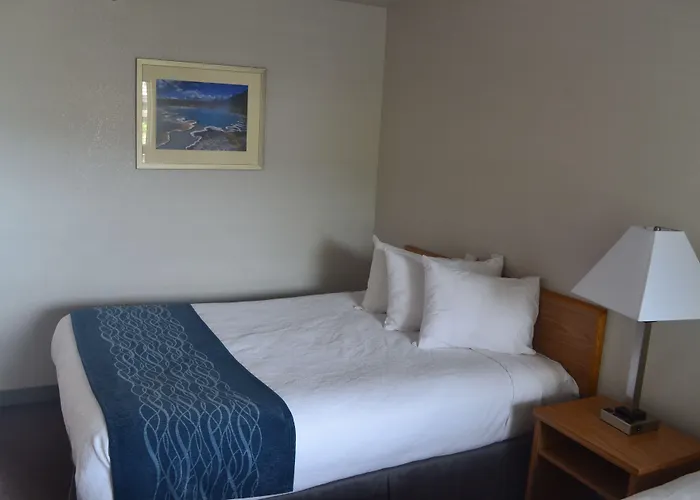 Pine Creek Motels