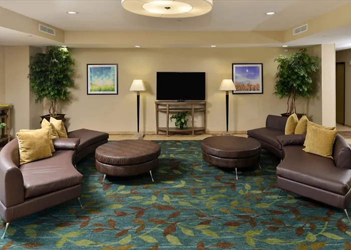 Houma Dog Friendly Lodging and Hotels