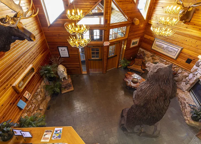 Hill City Dog Friendly Lodging and Hotels