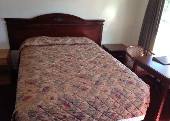 Florence Dog Friendly Lodging and Hotels