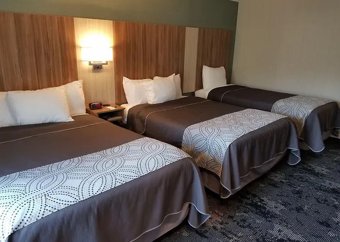 Lewiston Motels