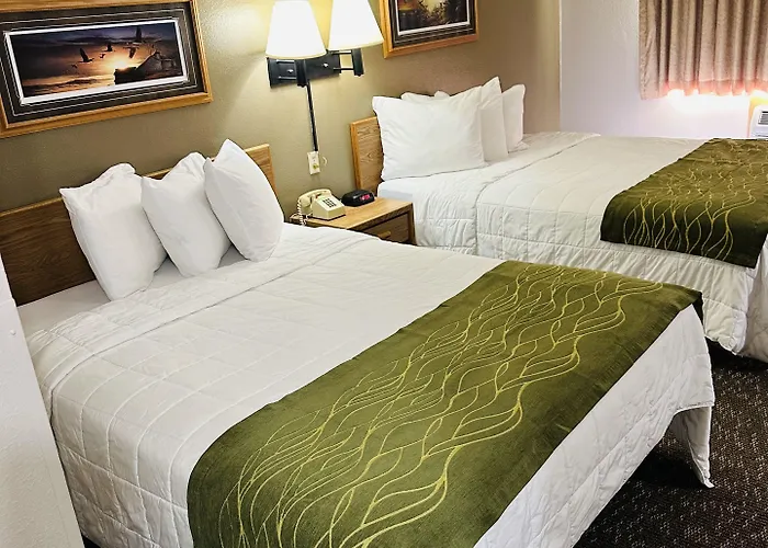 De Smet Motels