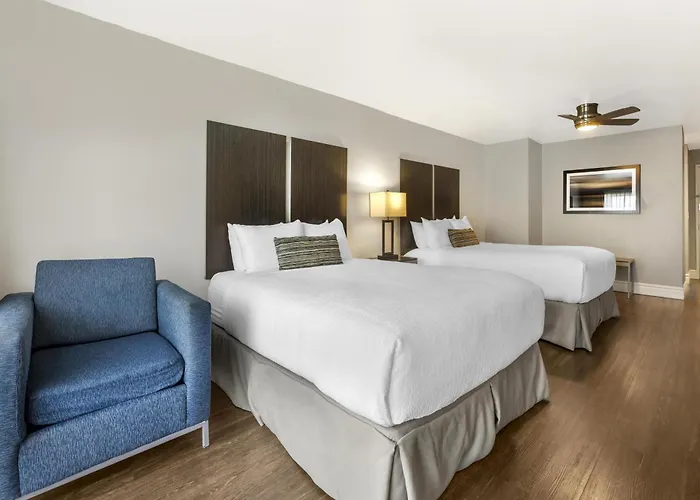 Florence Dog Friendly Hotels