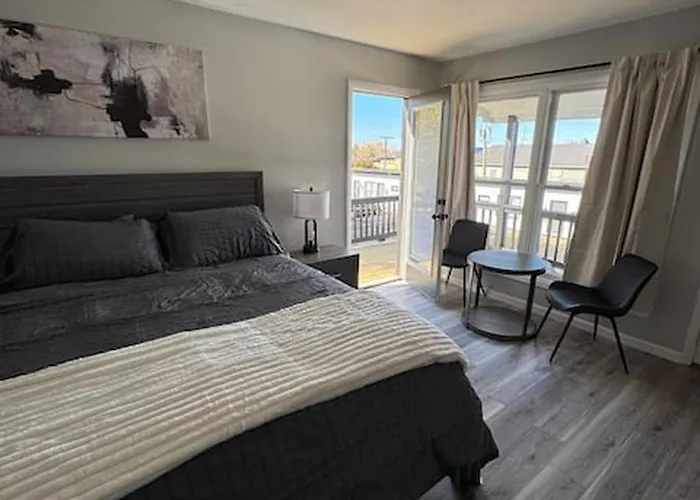 Webster Dog Friendly Lodging and Hotels