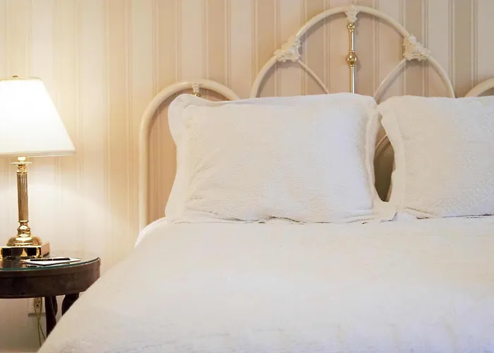 Boulder Dog Friendly Hotels