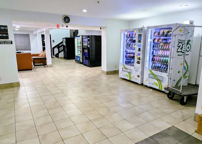 Apache Junction Dog Friendly Hotels