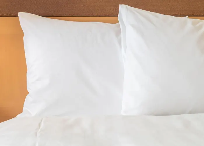 Atlantic Beach Dog Friendly Hotels