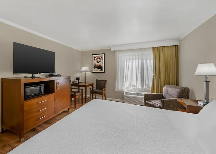 Crescent City Dog Friendly Hotels