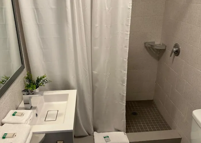 Coral Gables Dog Friendly Hotels