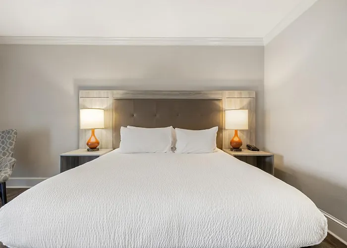 Young Harris Dog Friendly Hotels
