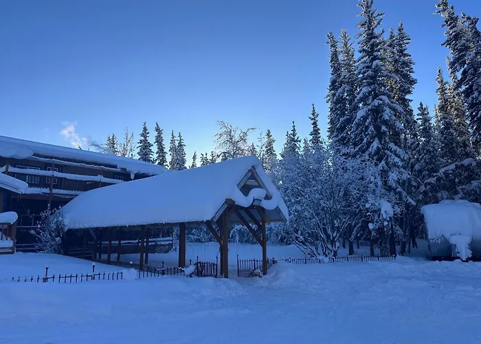 Tok Dog Friendly Lodging and Hotels