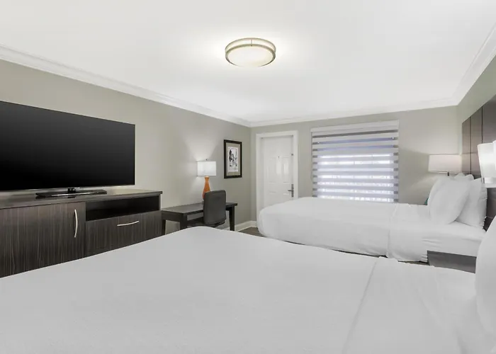 St. Augustine Dog Friendly Hotels
