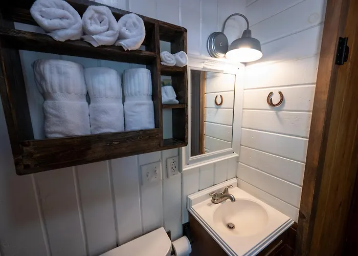 Shaver Lake Dog Friendly Hotels