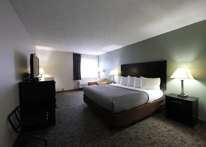 Mattoon Dog Friendly Hotels