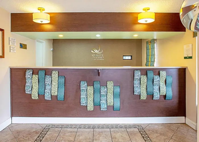 Live Oak Dog Friendly Lodging and Hotels