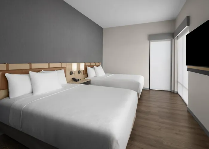 Belgrade Dog Friendly Hotels